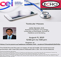 CEI SH ECHO: Testicular Masses